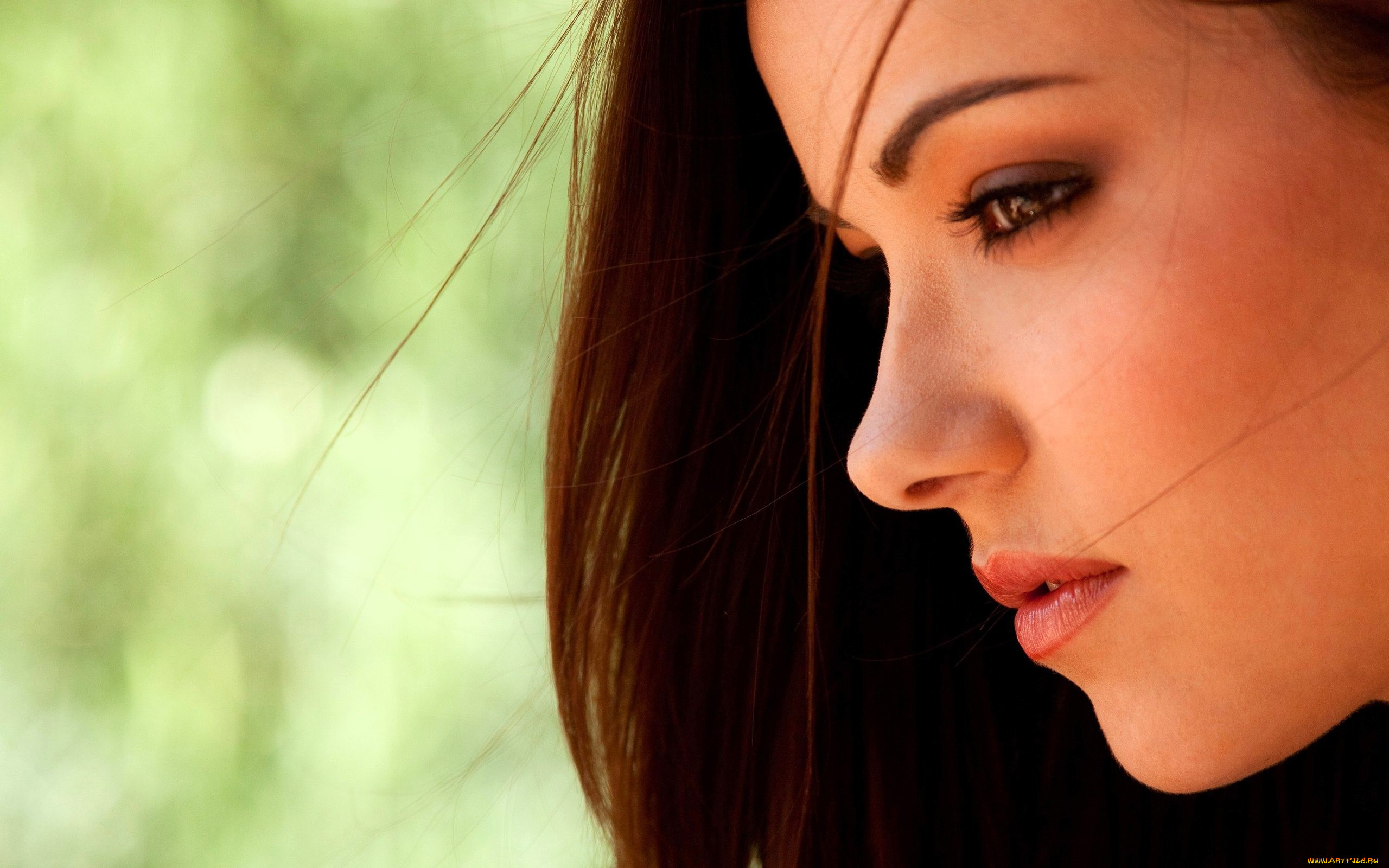 , elizabeth marxs, , 